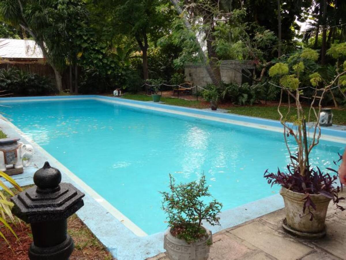 La piscina fue un regalo sorpresa de su esposa Pauline. EULALIA PINEDO - EL UNIVERSAL -