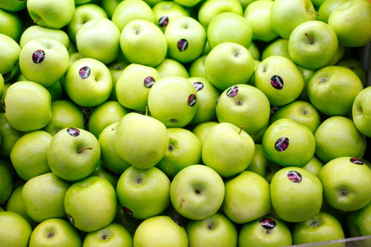 Educación y alimentos presionan al alza al IPC