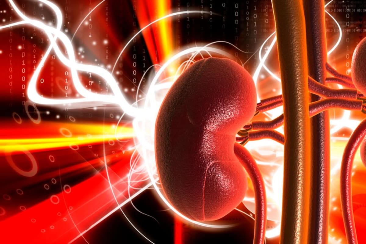 Transplante renal: una alternativa que brinda calidad de vida
