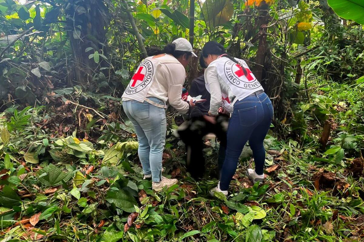 Disidencia de las Farc deja en libertad a persona que secuestró en Nariño
