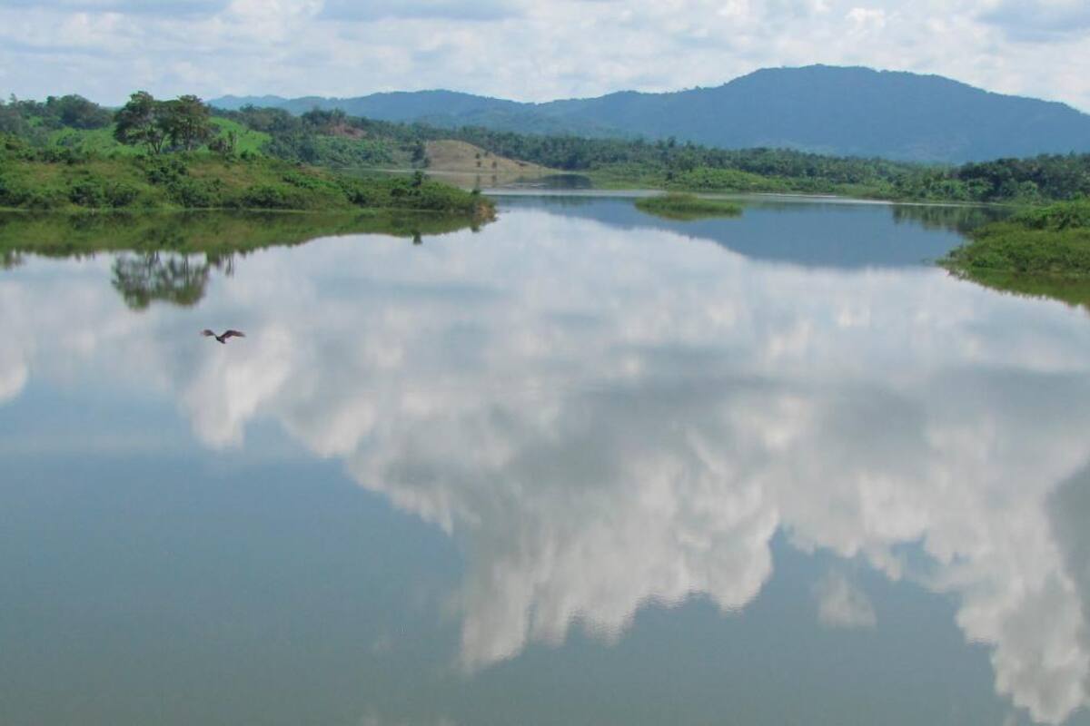 Bajos niveles de embalses obligarían a sembrar menos arroz en Marialabaja