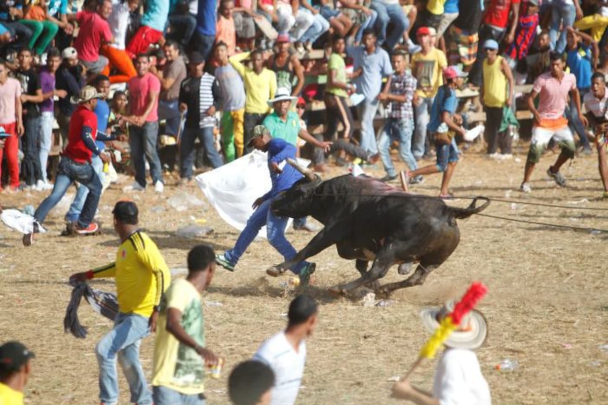62 heridos dejaron las corralejas de Cereté