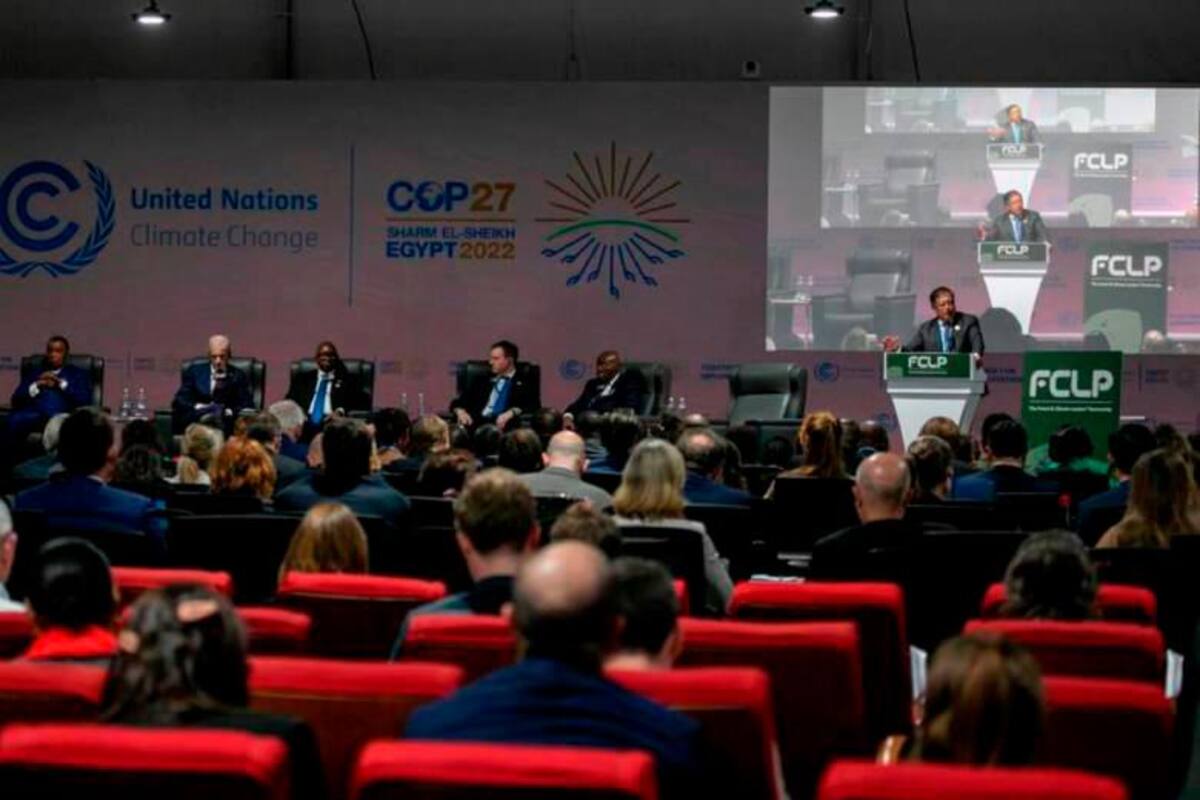 Presunto acoso sexual en la COP27: acusan a delegados de la Presidencia
