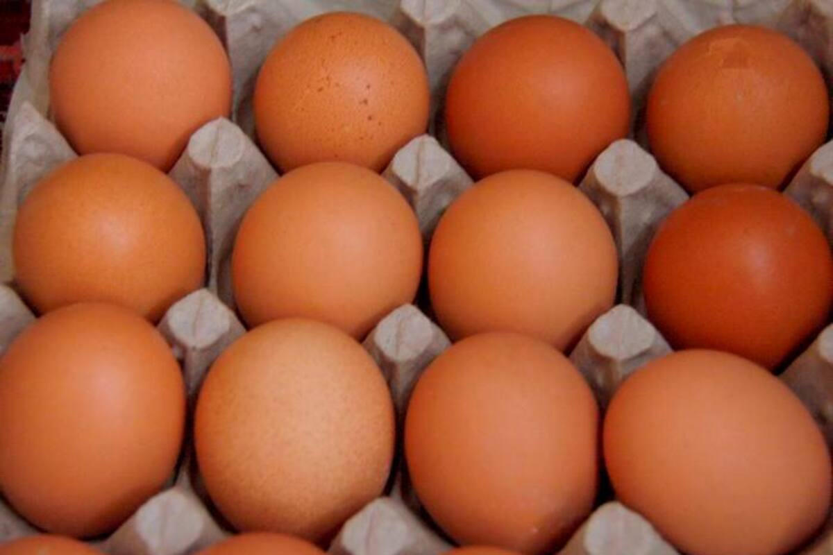 ¿$1.800? Esto cuesta una docena de huevos en Cartagena