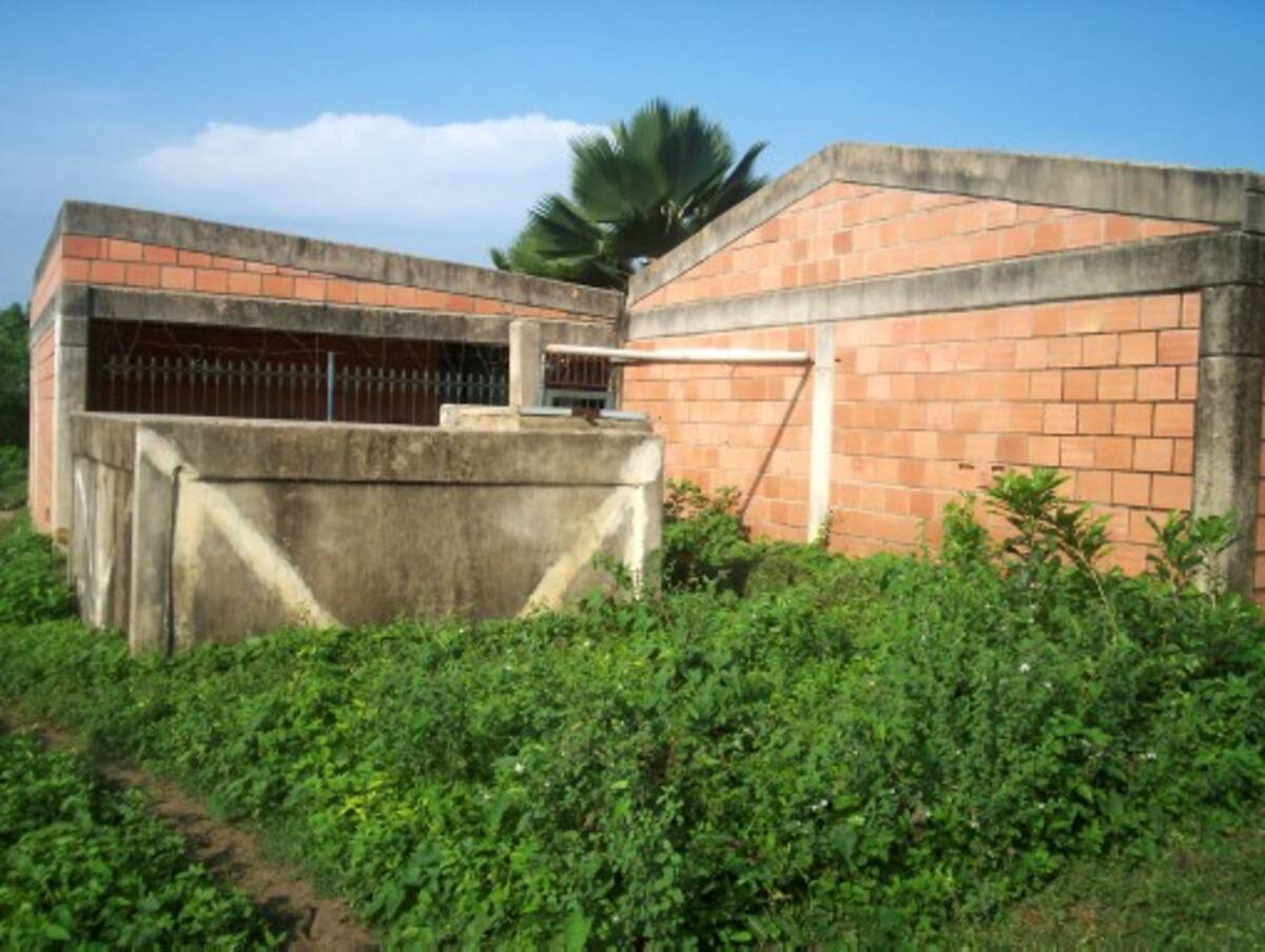 Los alrededores de la edificación están enmontados y llenos de basura. La comunidad exige limpieza y recuperación de la obra. ATILANO MEZA - EL UNIVERSAL