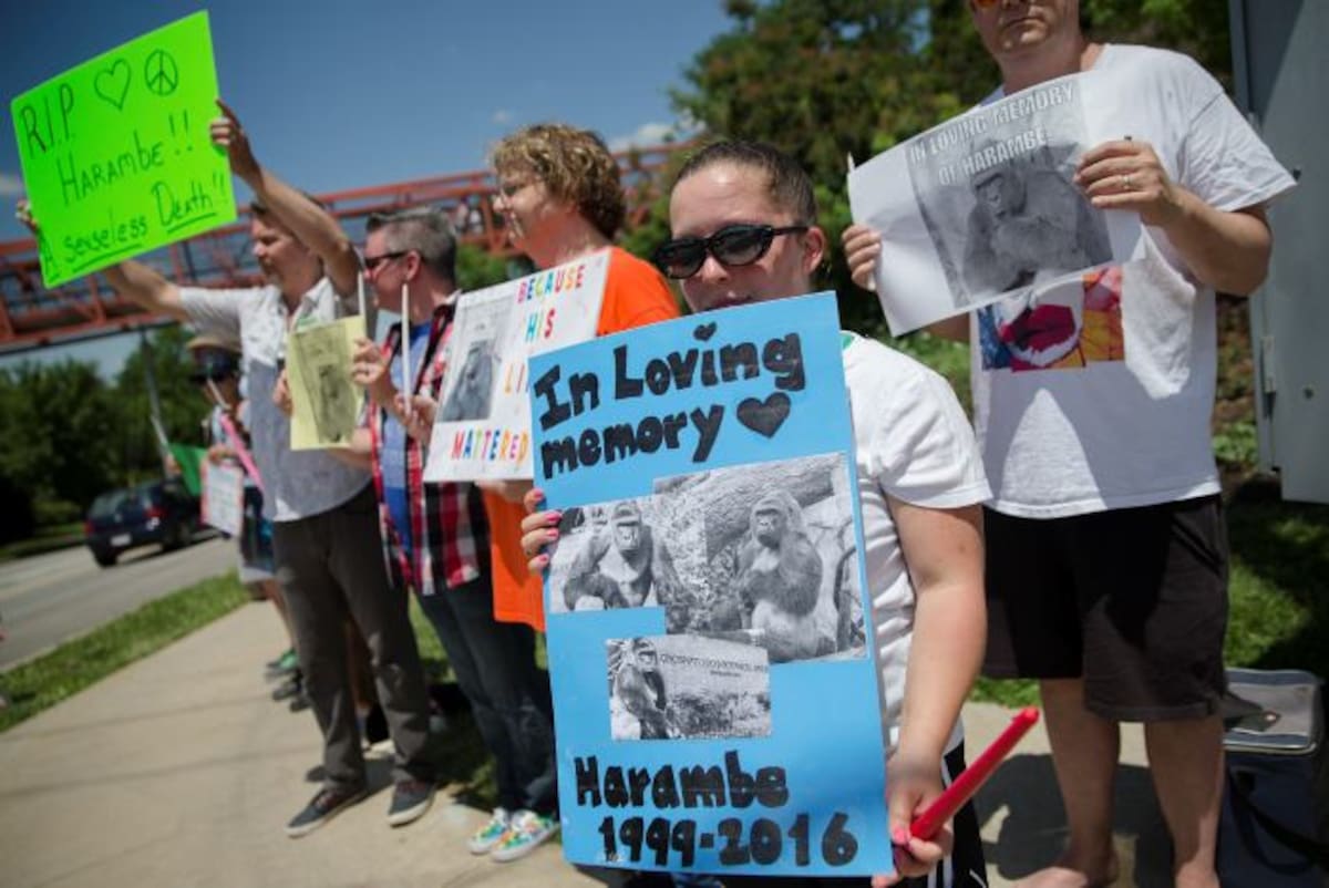 La agrupación Stop Animal Exploitation NOW dijo que el Departamento de Agricultura, que regula los zoológicos en Estados Unidos, debe multar al zoológico por violar la Ley de Protección de Especies en Peligro de Extinción. //Foto archivo