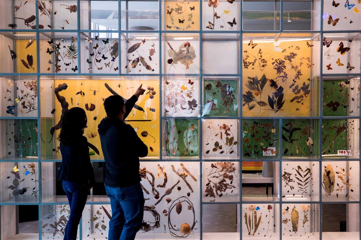 Personas visitan el Pabellón Nacional de la Biodiversidad de la Universidad Nacional Autónoma de México (UNAM) durante un recorrido este martes, en Ciudad de México (México). //EFE