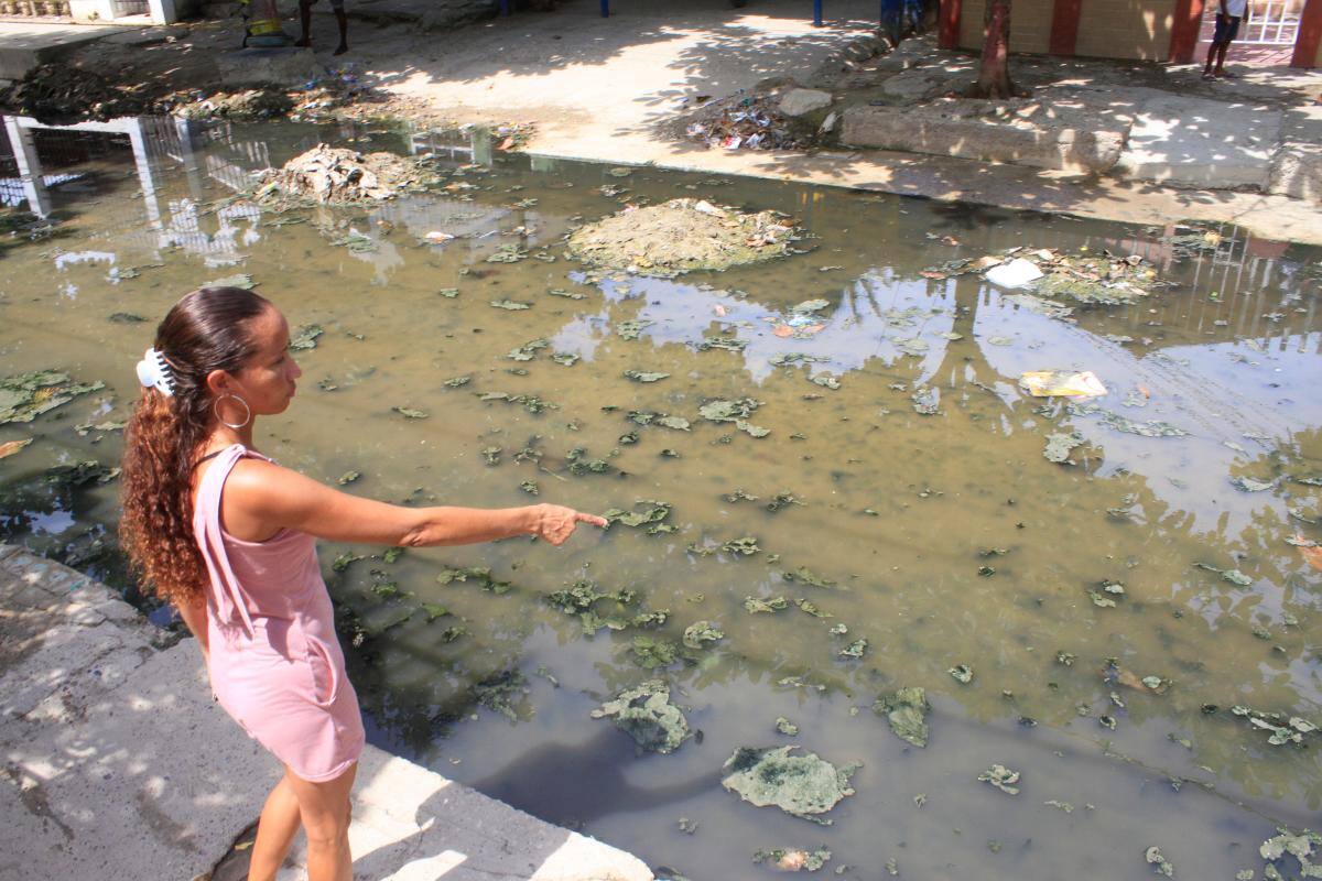 El dengue mata más que el COVID y Cartagena alcanza contagios históricos