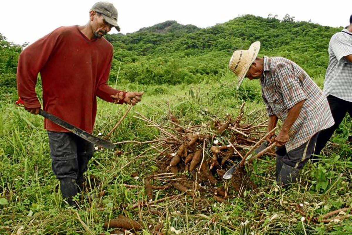 Con el Día del Campesino, los labriegos sanonofrinos celebraron al mismo tiempo el regreso de la tranquilidad.