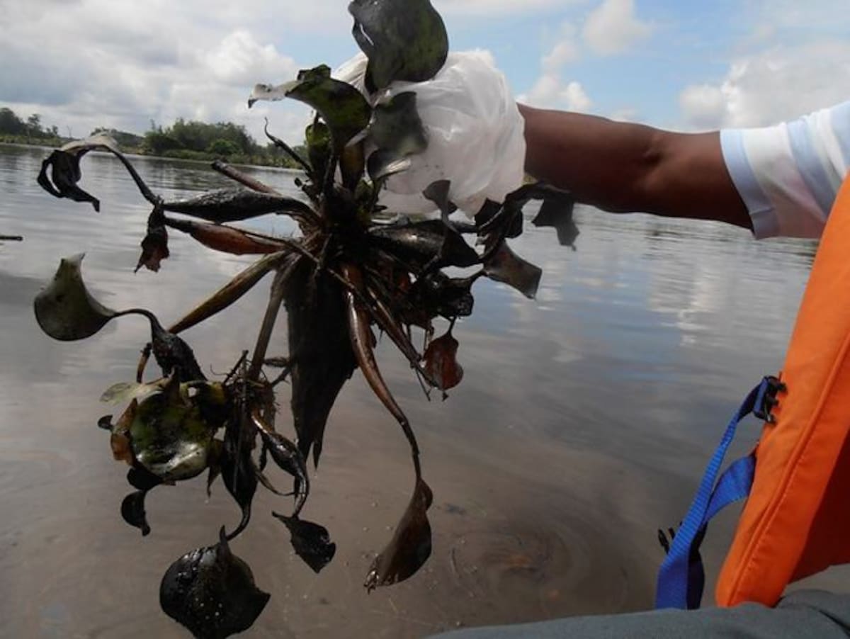 Contaminación del Río el Rosario COLPRENSA