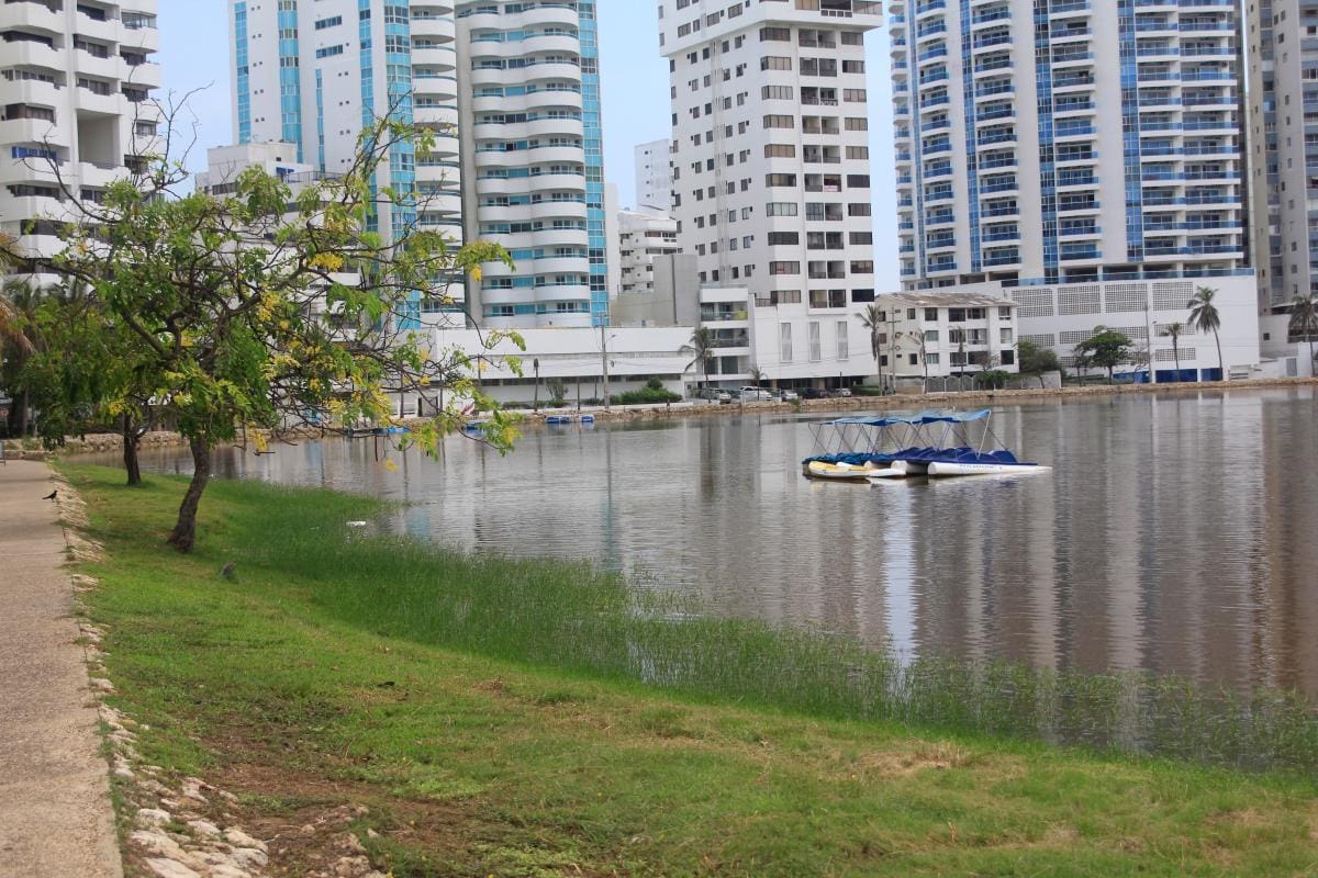 “Problema ambiental en El Laguito necesita intervención inmediata”: vecinos