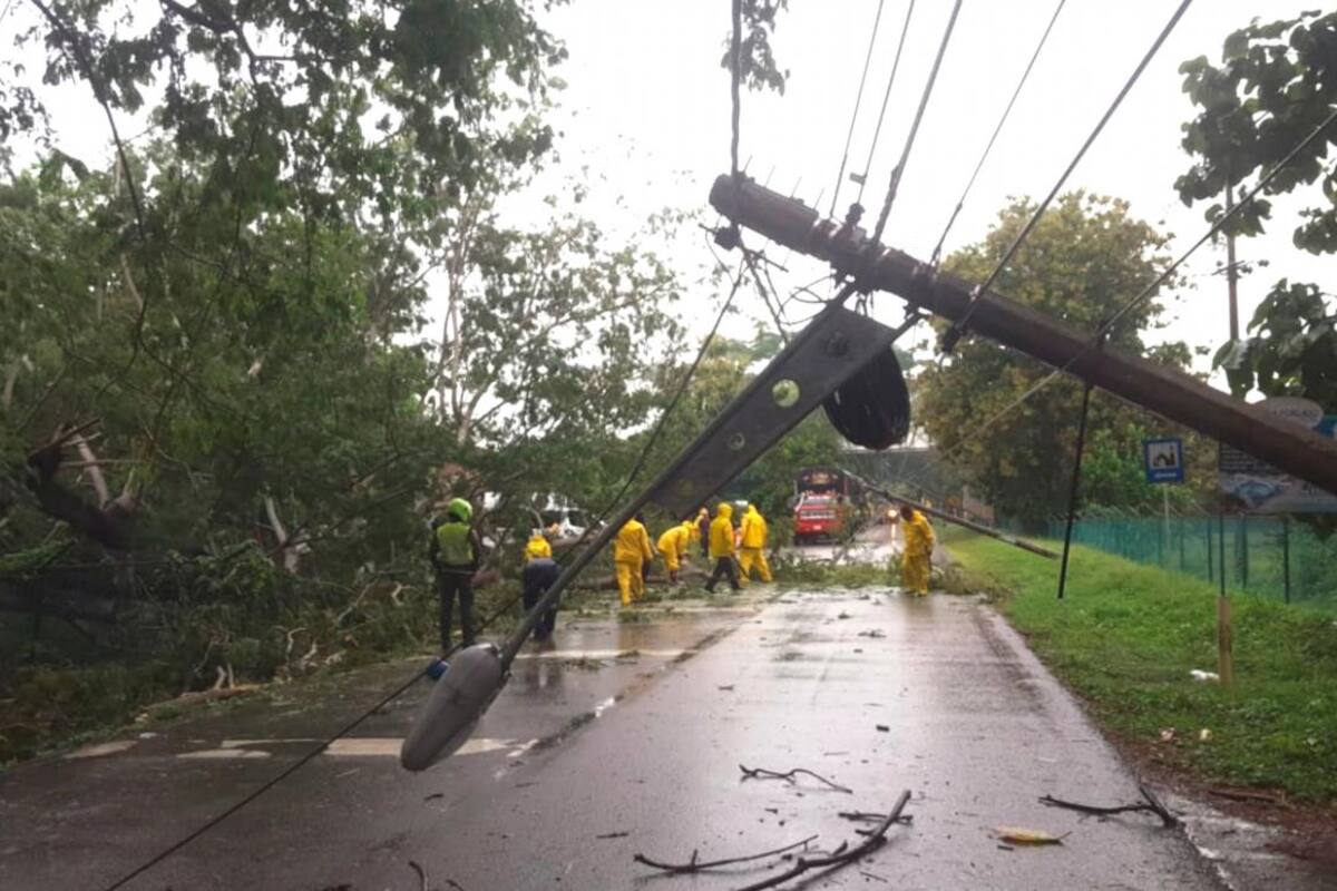 Lluvias causan caída de árboles y redes eléctricas en municipios de Sucre