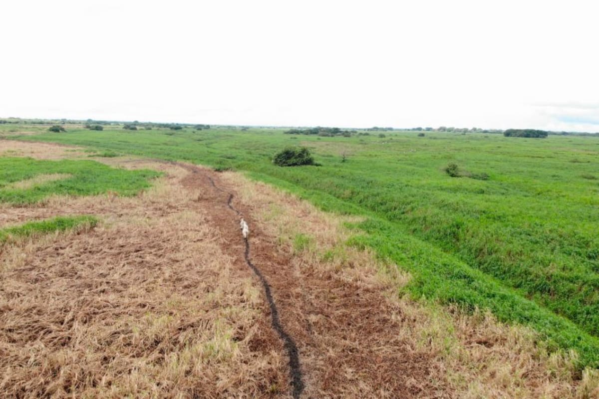 “No he denunciado invasión de tierras”, dice inspector de Cicuco