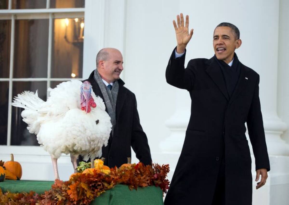 Barack Obama perdonó a un pavo. AP Evan Vucci