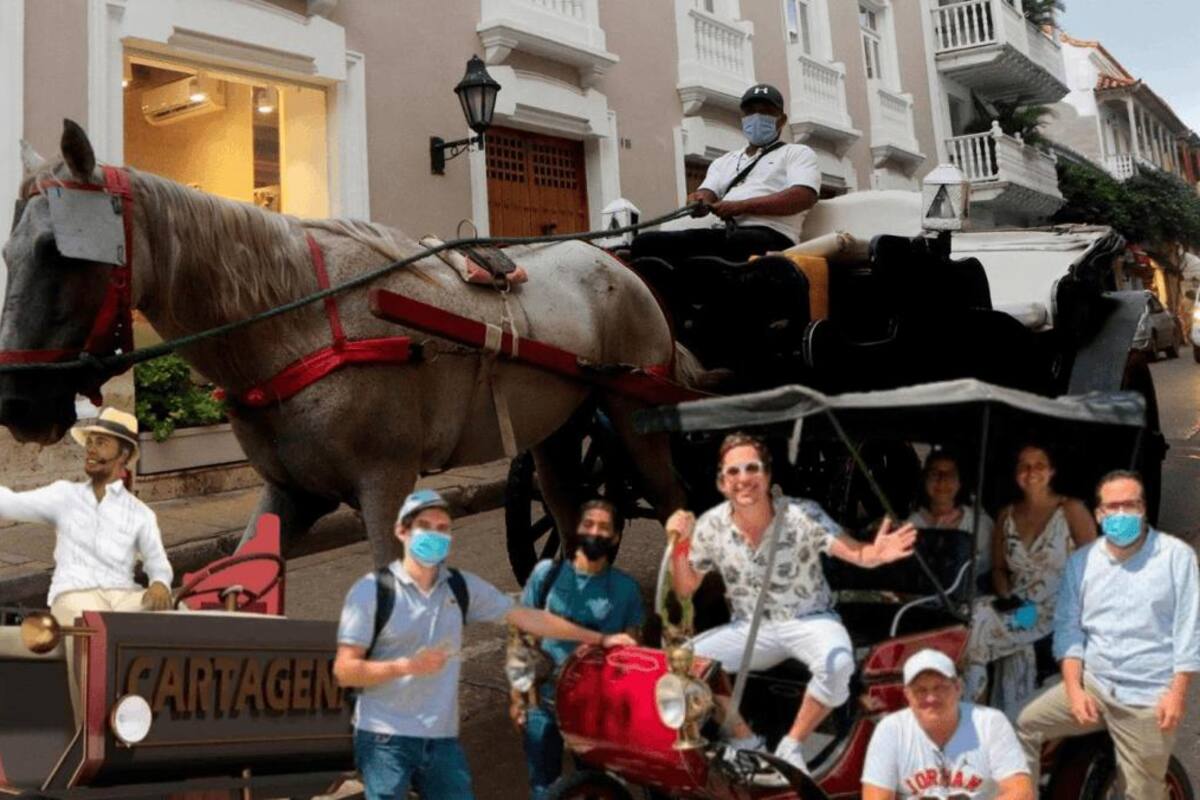 Coches eléctricos y caballos a descansar: una ley que avanza en el Congreso