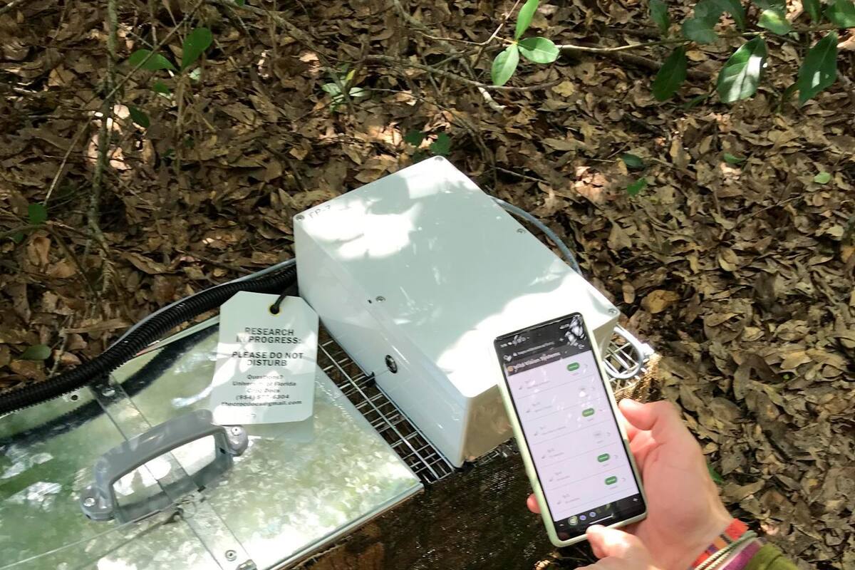 Usan trampas con IA para capturar especies que amenazan el ecosistema