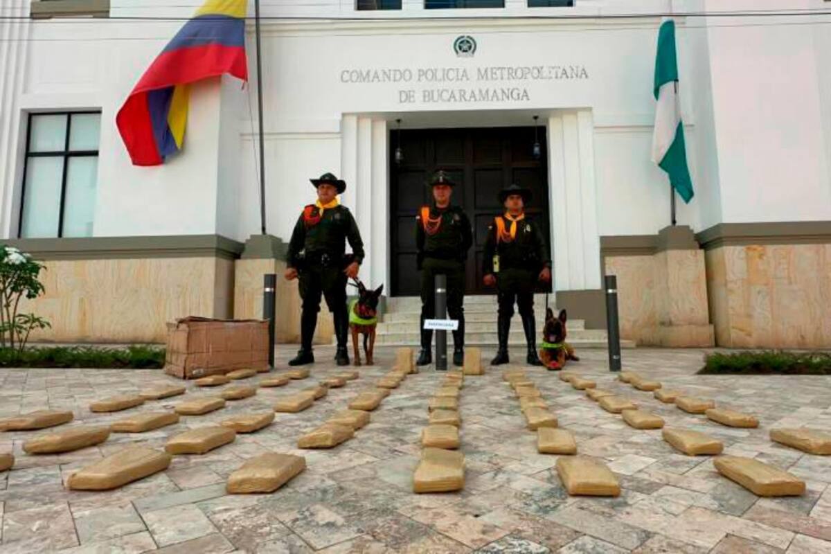 ‘Lassie’ y ‘Daz’ hallan más de 33 kilos de marihuana en 60 paquetes
