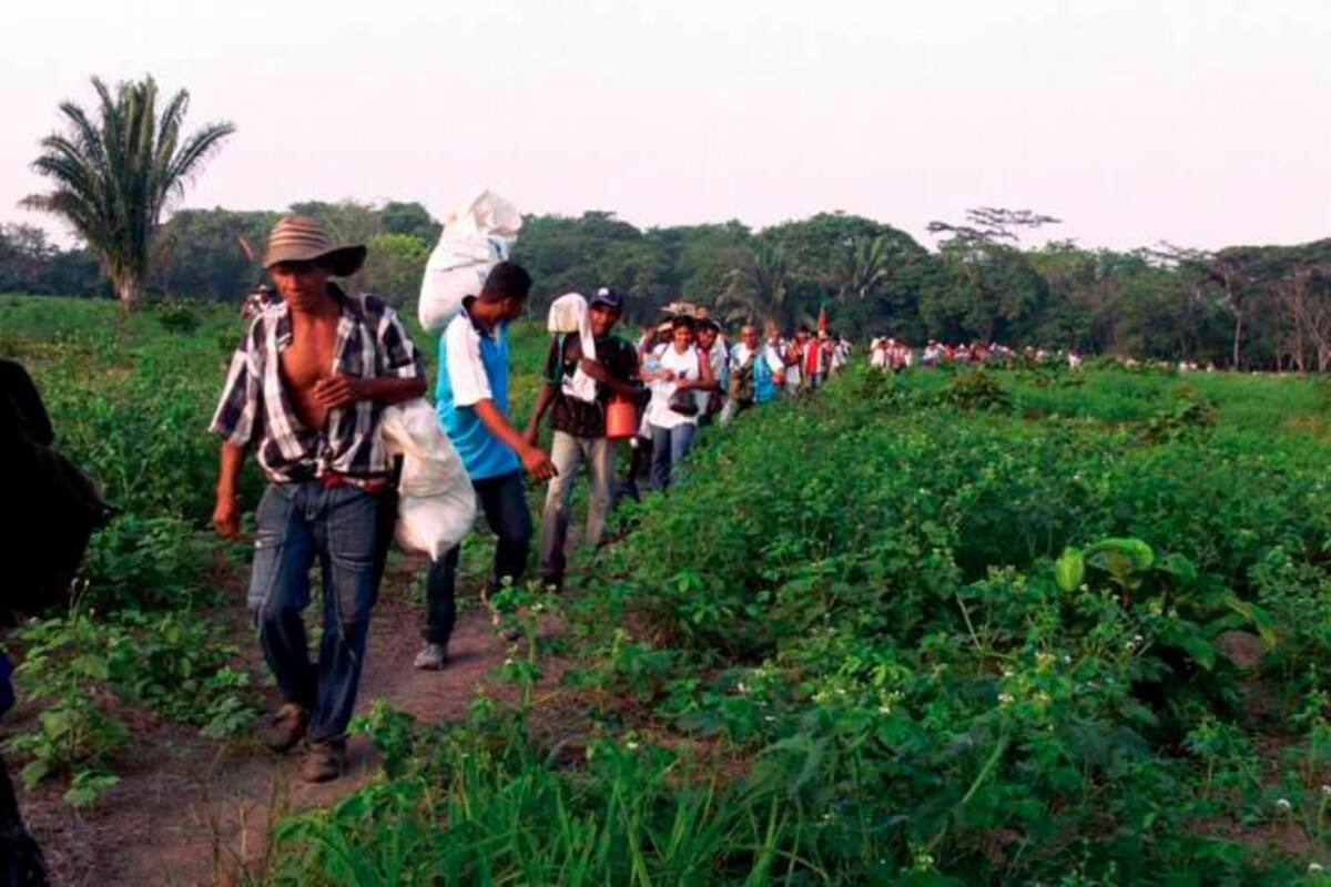 Gobierno busca impulsar movilizaciones en apoyo a la reforma agraria