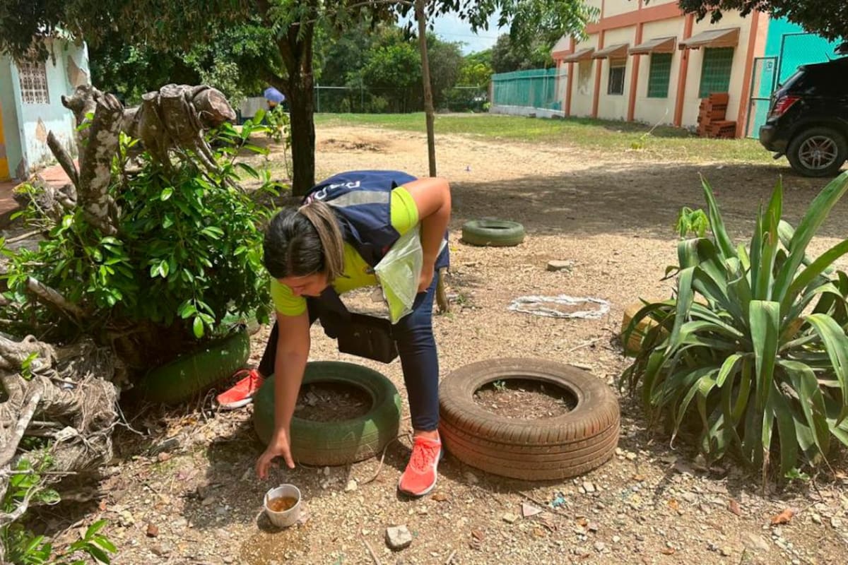 Reportan 39 nuevos casos de dengue en Cartagena: van 1.885 este año