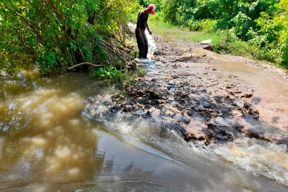 El canal del Dique se “metió fuerte” en Arenal