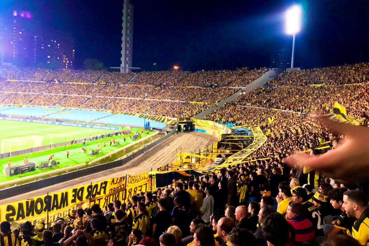 Investigan muerte de hincha en estadio: quedó incrustado en una reja