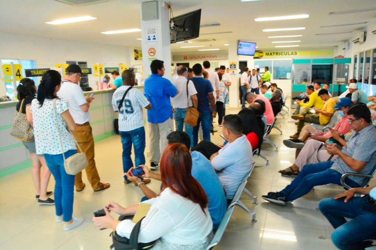 De 54 mil, apenas se renovaron 10 mil licencias de conducción en Cartagena