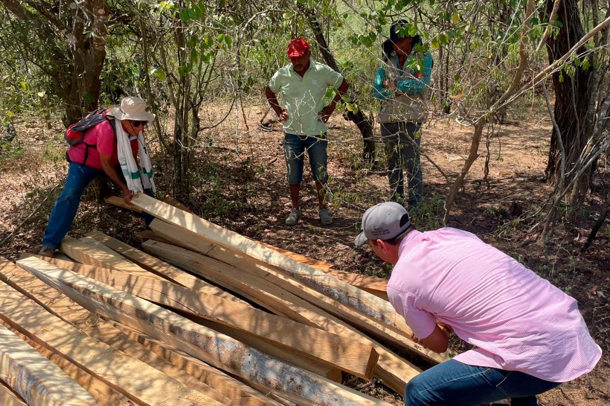 Desmantelan red de tala de árboles en San Juan Nepomuceno: hay 3 capturados