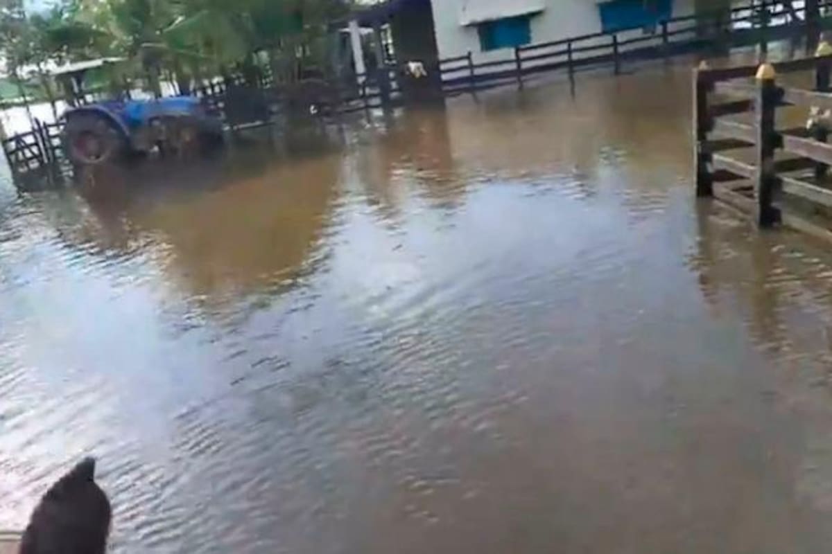 Video: Rompimiento de jarillón causa emergencia en Calamar, Bolívar