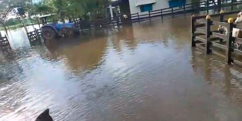 Video: Rompimiento de jarillón causa emergencia en Calamar, Bolívar