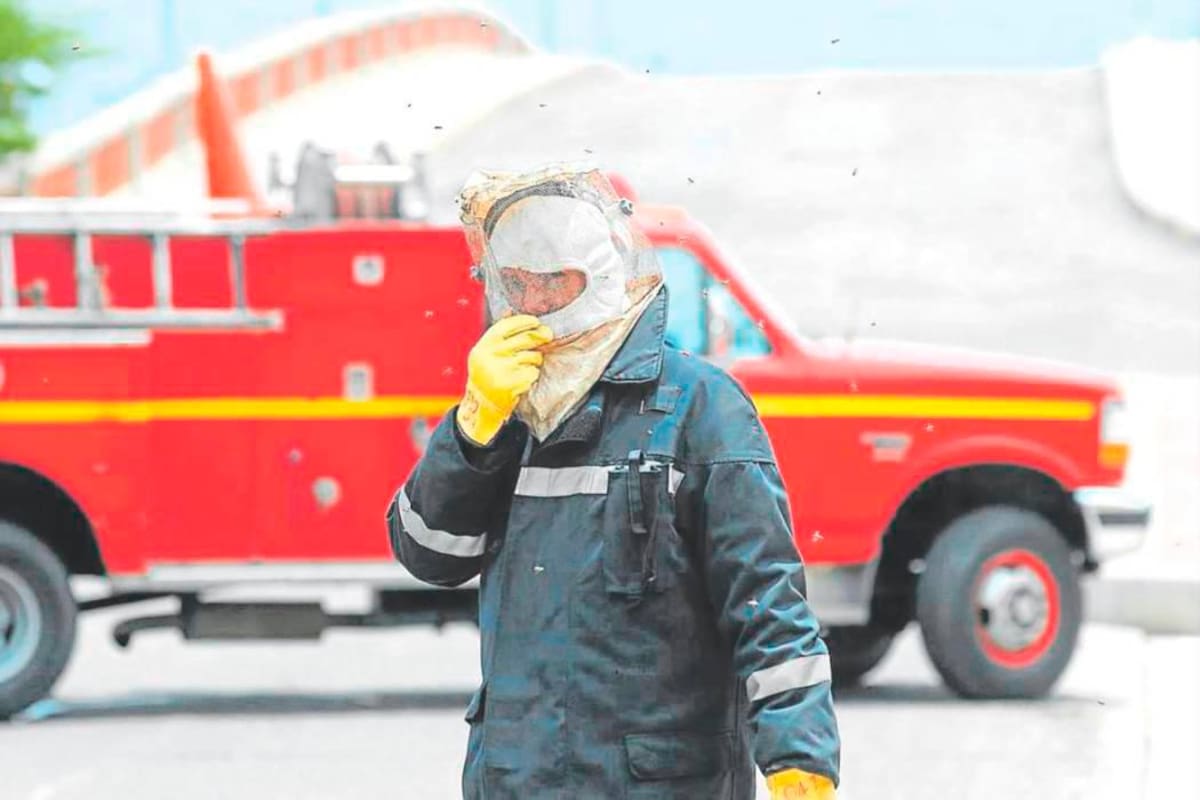 Estas fueron las emergencias atendidas por Bomberos el 27 de diciembre