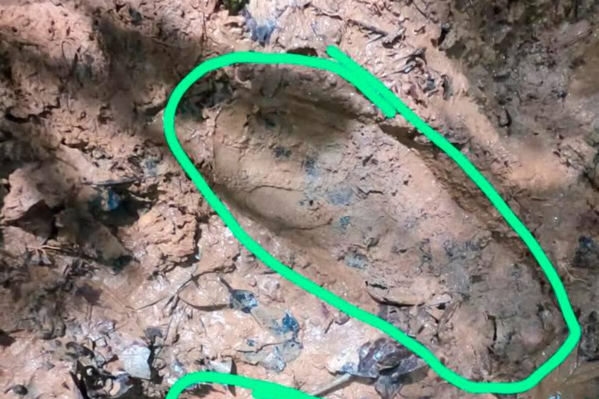 ¡Hallazgo! Localizan nueva huella de los niños desaparecidos en Guaviare