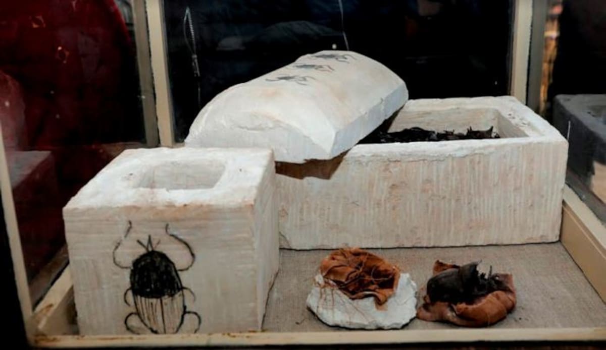Una momia de escarabajo, tras ser hallado por una misión arqueológica egipcia en esa área y cuyo descubrimiento se ha anunciado hoy. EFE Ministerio de Antiguedades