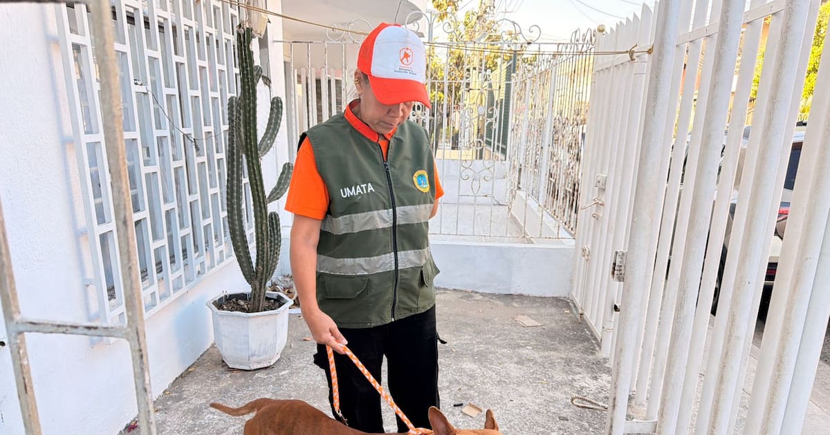 Police Inspection referred animal abuse case in Canapote