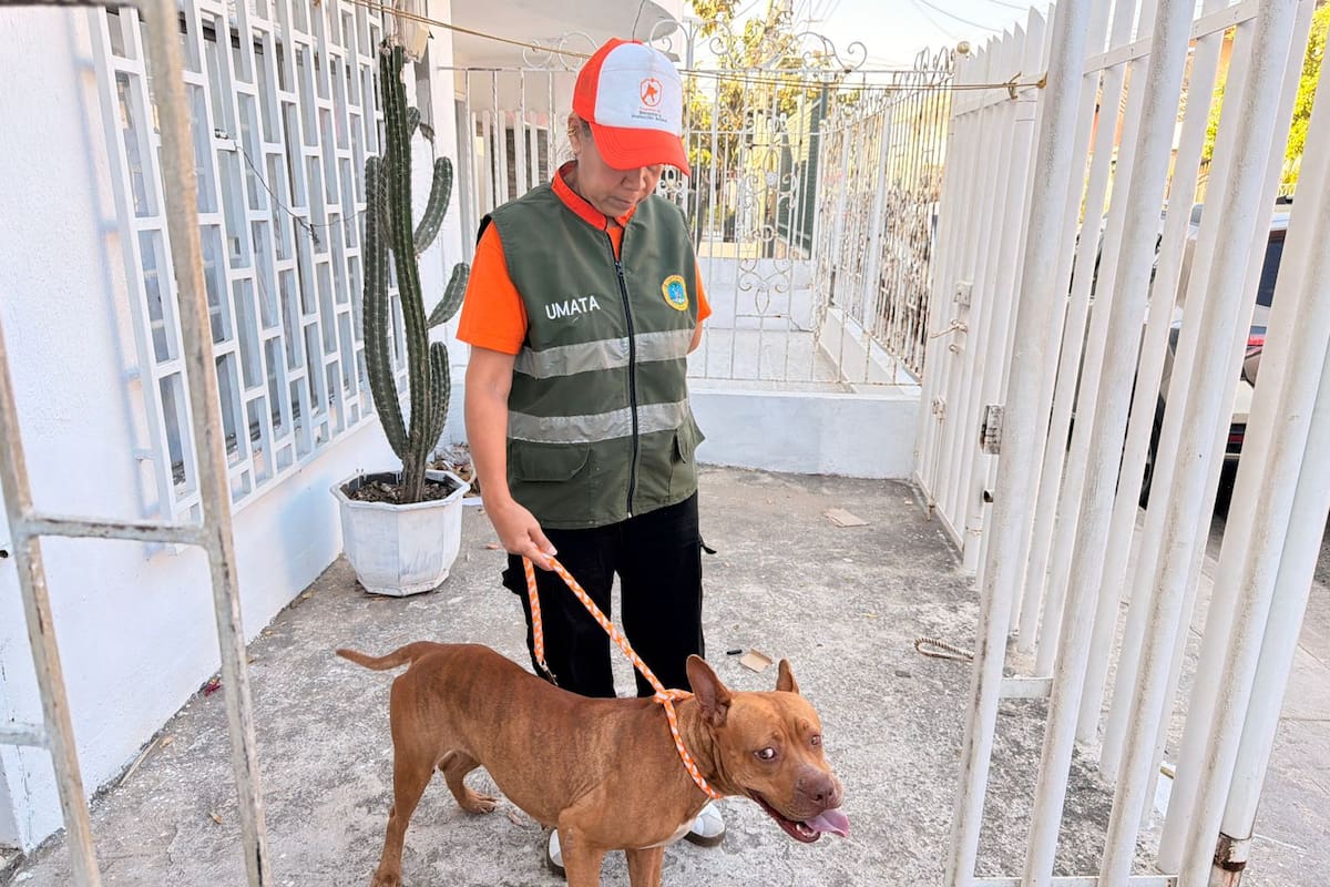 Remiten a Inspección de Policía caso de maltrato animal en Canapote