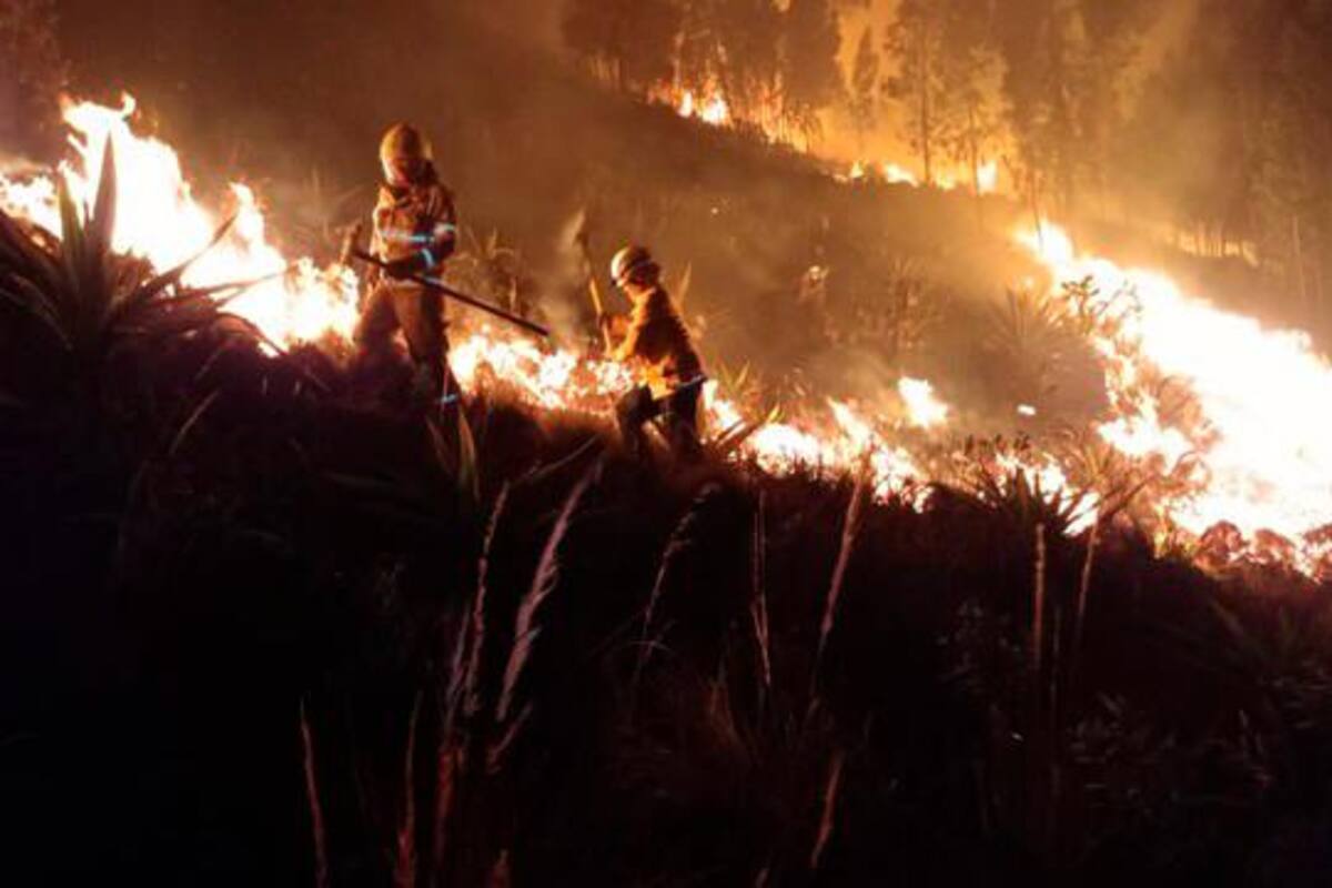237 incendios forestales se han presentado en el país en menos de 3 meses