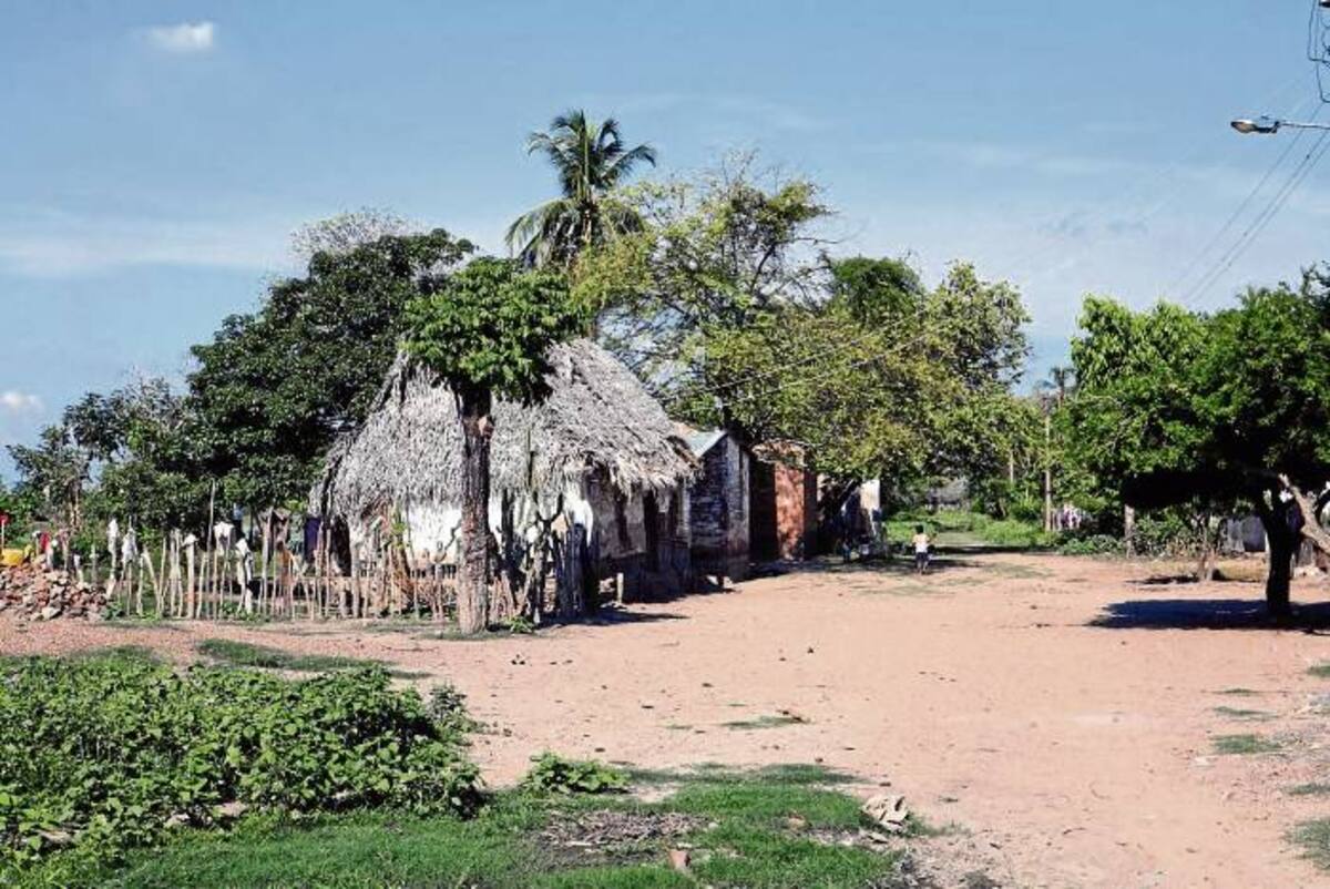 La tierra desolada.