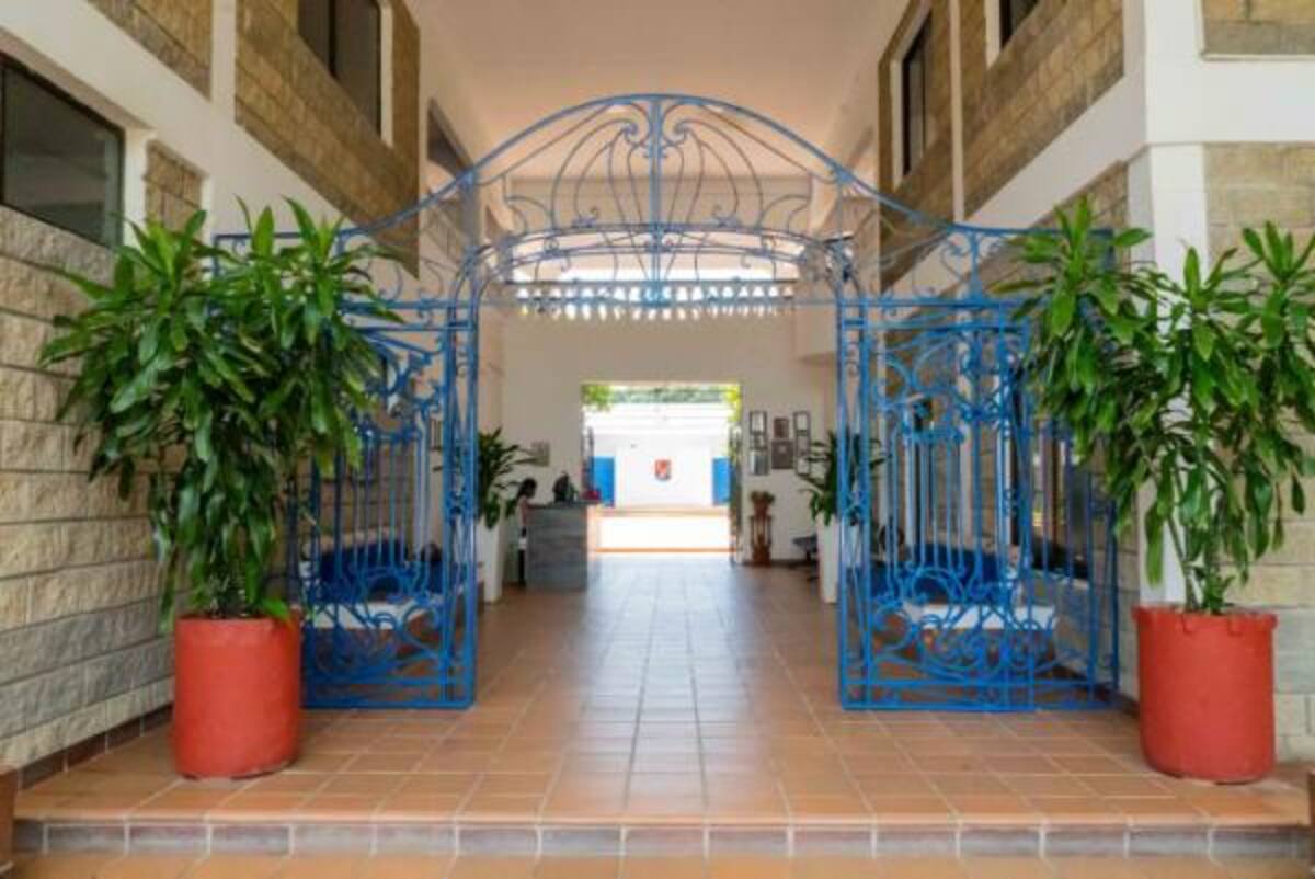 El Área de formación musical, orienta a los estudiantes, a ser seres sensibles.