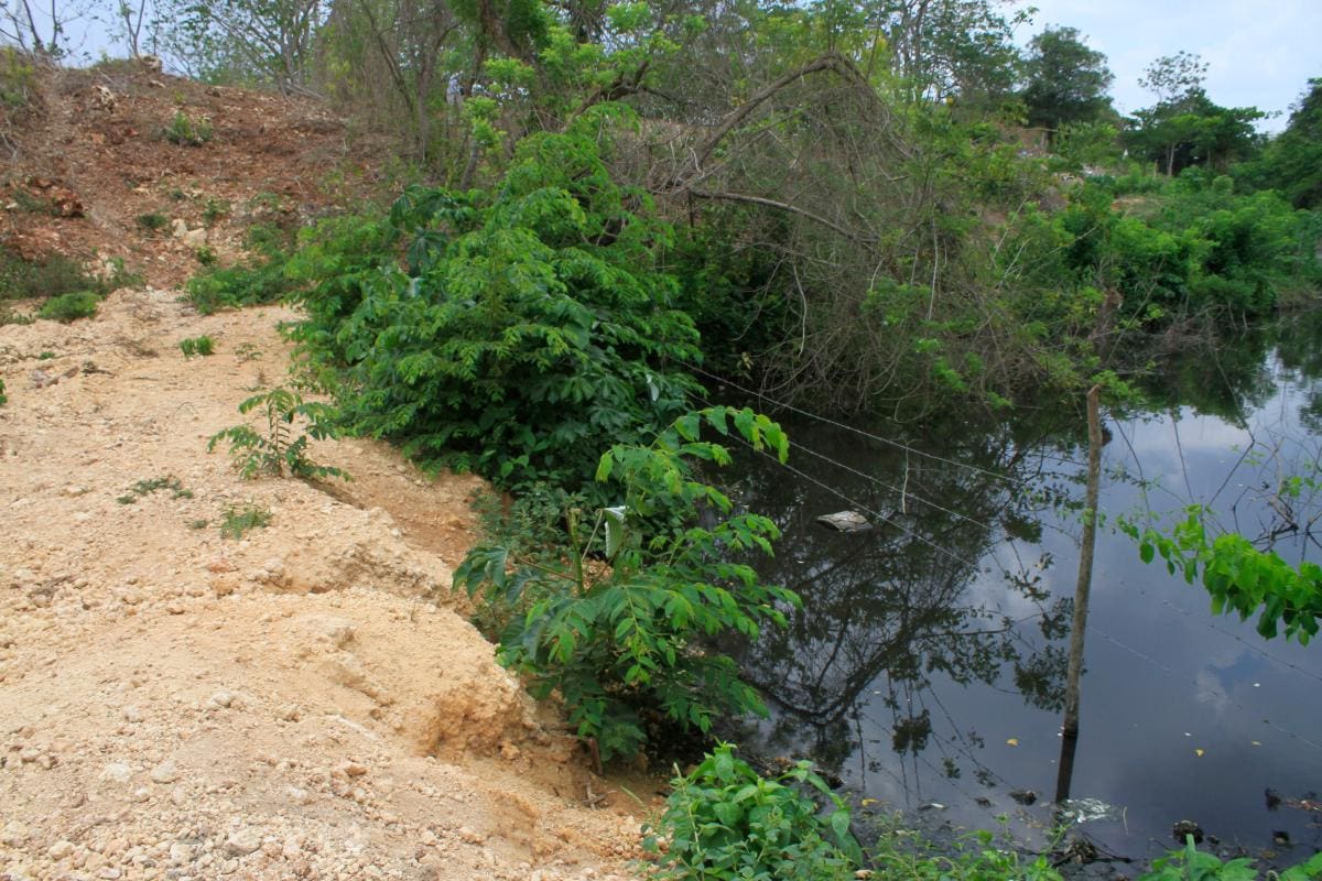 El arroyo Matute necesita de una solución macro