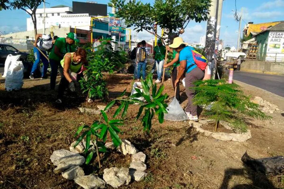 Cartageneros se unen para sembrar árboles en Bazurto