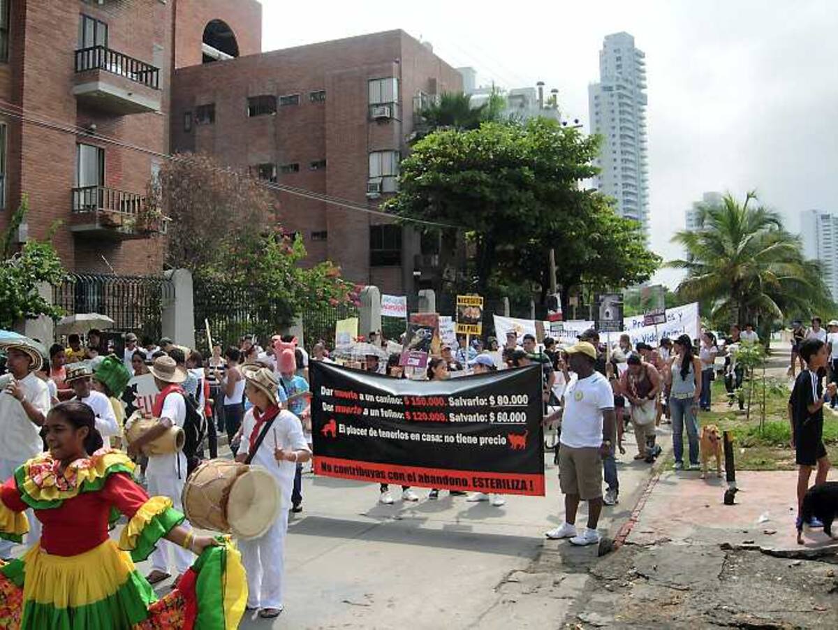 La Avenida Miramar, del barrio Manga fue la escogida por los marchantes.