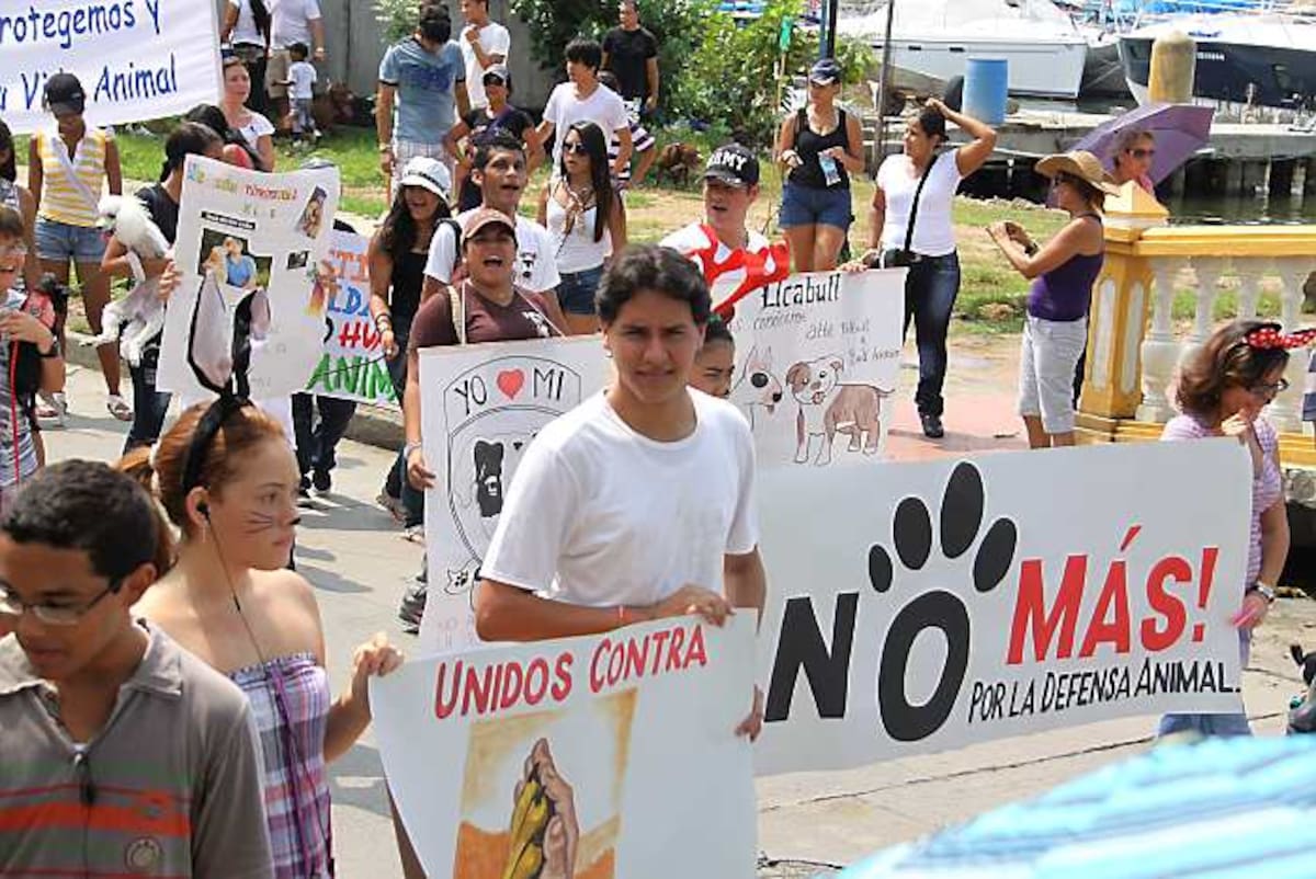 Decenas de Cartageneros marcharon ayer junto a sus mascotas a favor del buen trato hacia los animales. MARUJA PARRA - EL UNIVERSAL