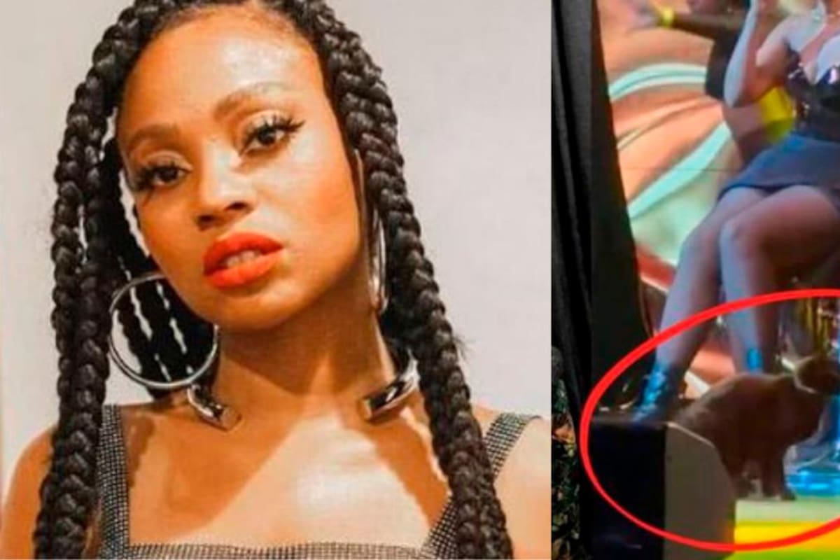 Goyo se disculpa por gato en tarima: “No era necesario incluirlo del show”