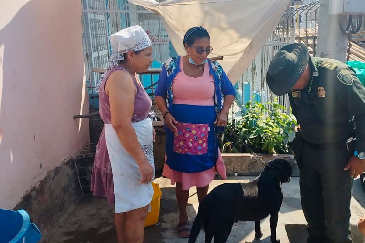 ¿Desencadenaron al perro? Autoridades atendieron denuncia de maltrato