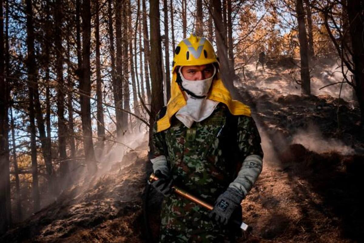 “Restaurar no es solo sembrar árboles”: llamado en medio de crisis por incendios