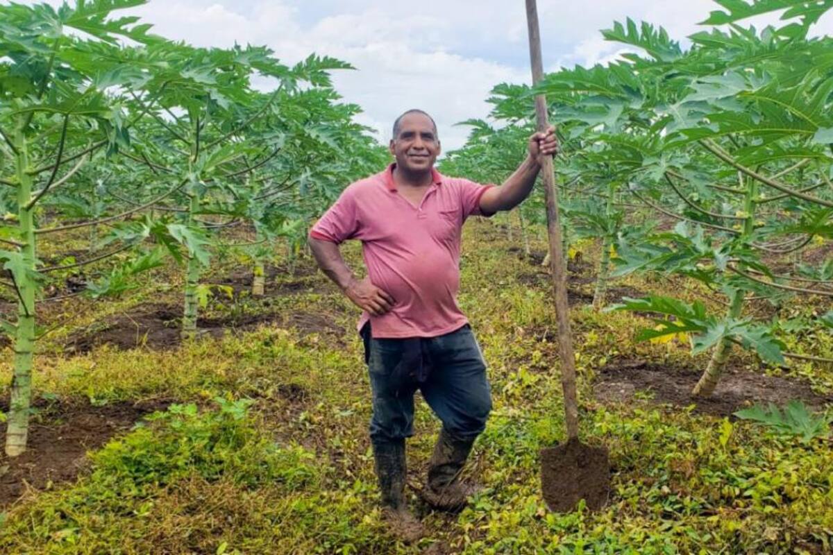 Cacaotero cordobés entre los 50 mejores del mundo