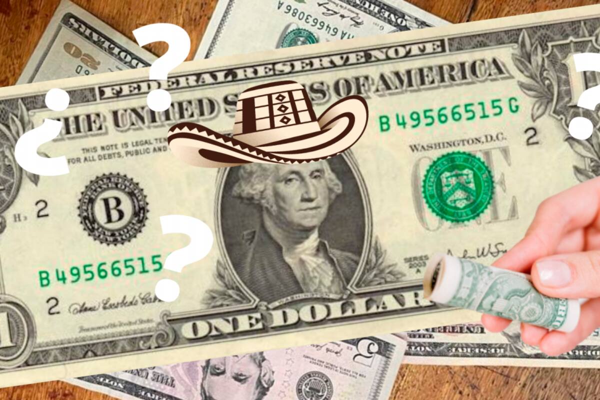 ¿Dolarizar la economía colombiana es la solución? Expertos opinan