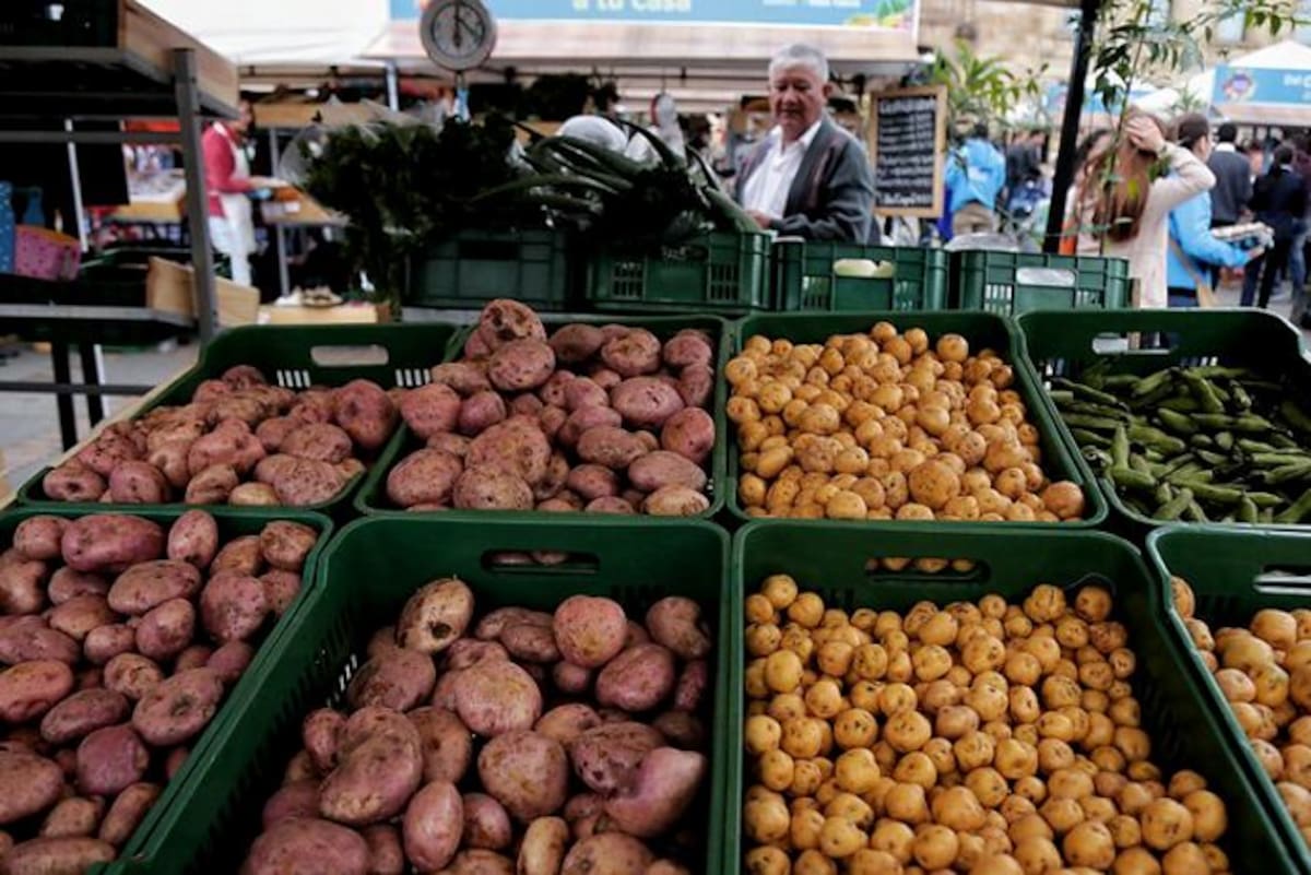 Cartagena fue la ciudad con la inflación más alta del país con 3.74% de acuerdo a la cifra anual, según el Dane. COLPRENSA.