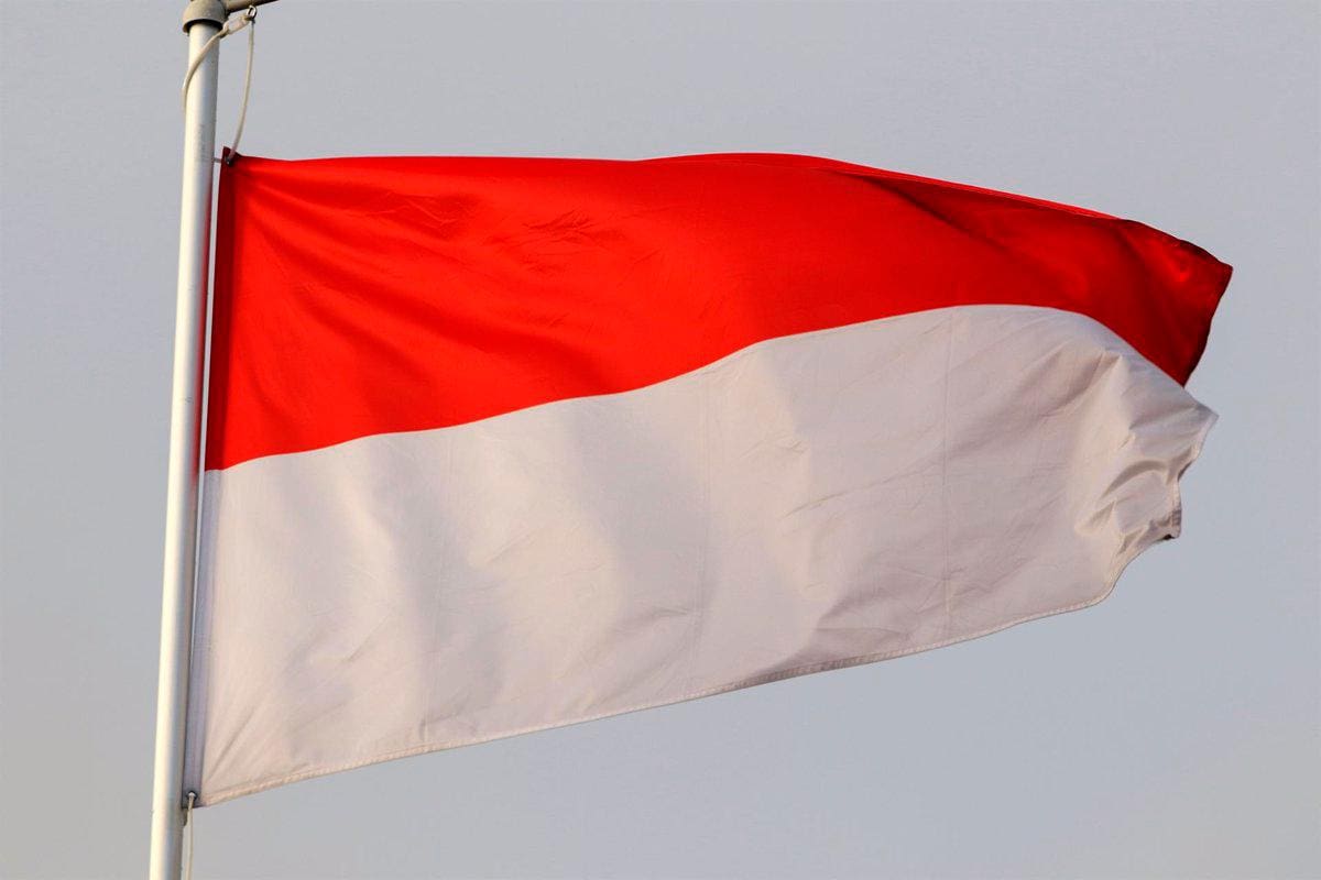Doce muertos dejó una explosión en una planta procesadora en Indonesia