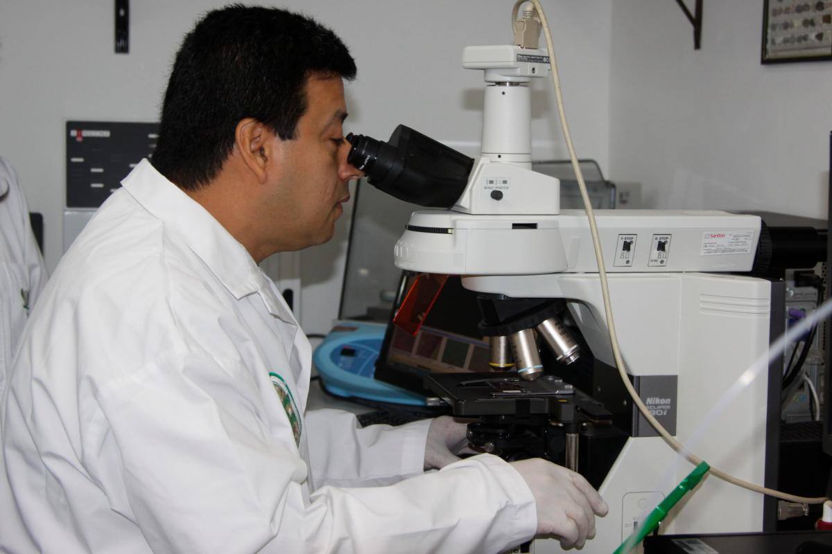 Científicos sugieren no alarmarse por cepas de coronavirus