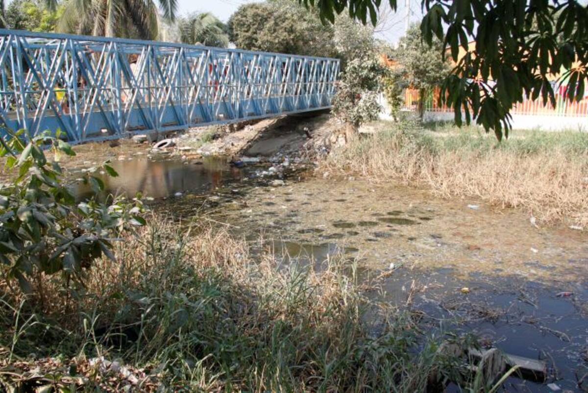 Muchos niños que usan este puente juegan con los peces muertos, dicen los vecinos. LUIS EDUARDO HERRÁN, Q'HUBO CARTAGENA